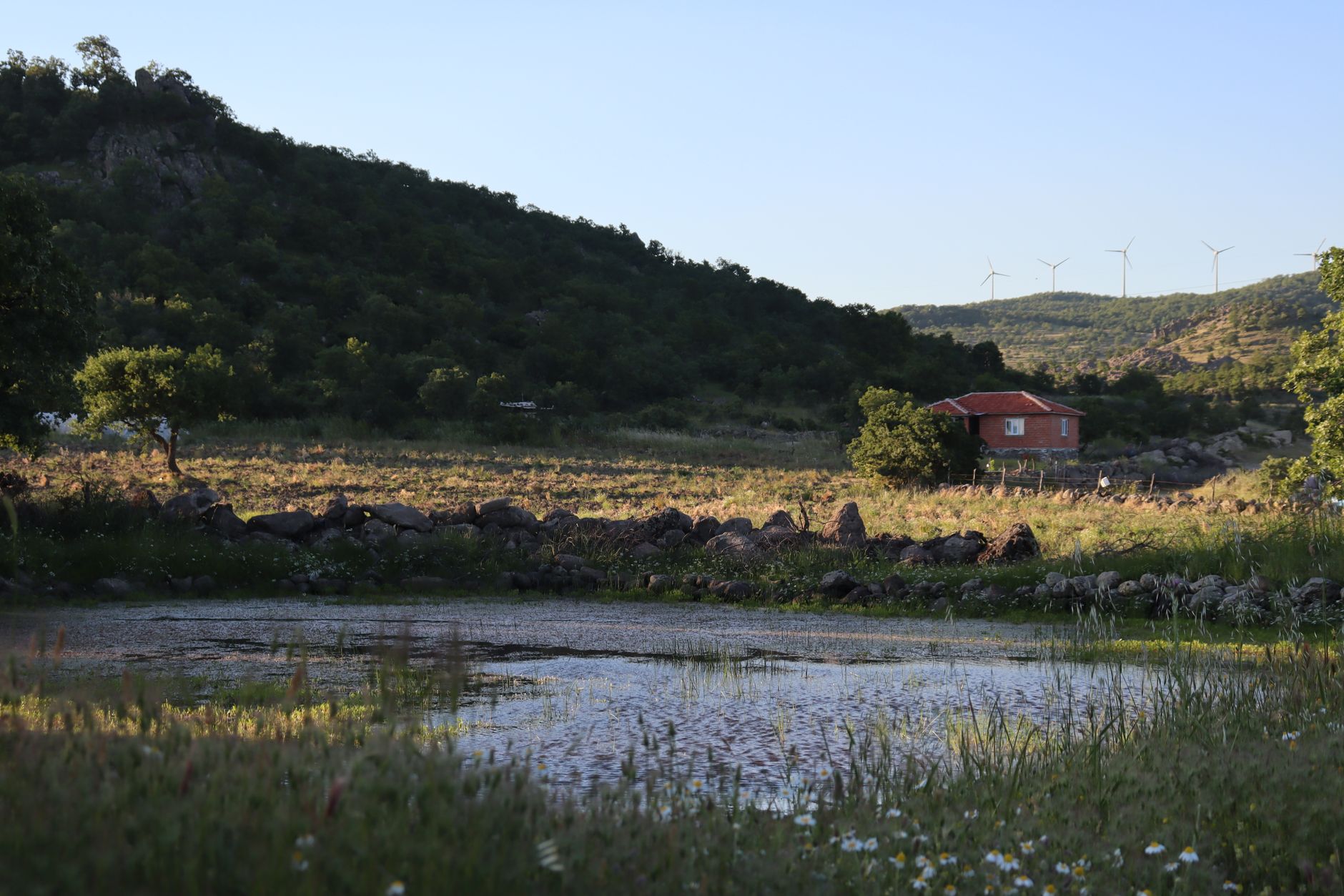 a small wind turbine on a tower beside an off-grid tiny cabin
